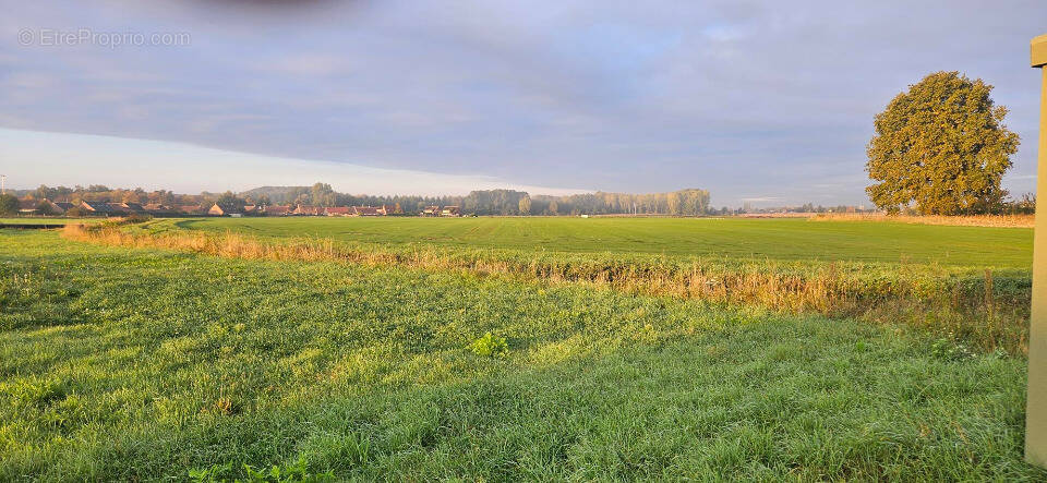 Terrain à WAZIERS