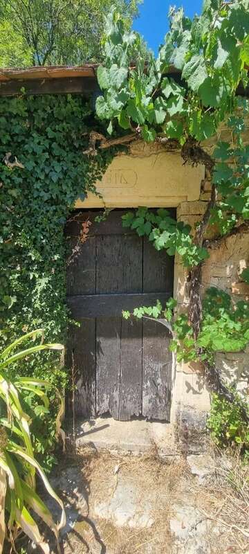 Maison de maître avec piscine et dépendances - photo 31
