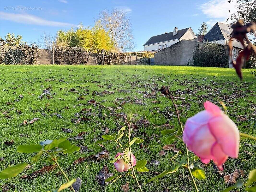 Maison à MAUVES-SUR-LOIRE