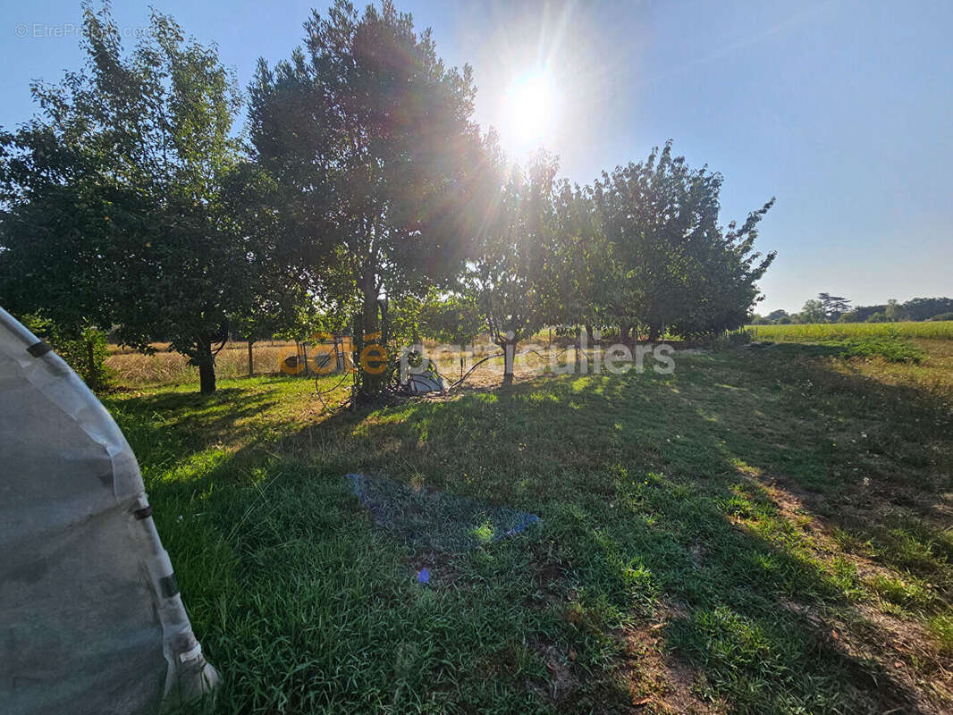 Maison  sur deux niveaux avec garages et jardin. - photo 15