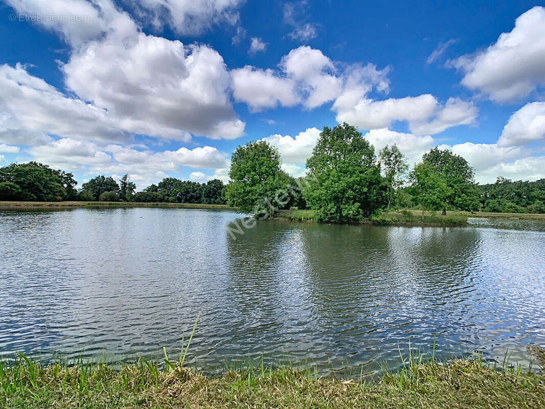 Rare sur le secteur ? Magnifique terrain de loisirs de plus de 2 hectares avec étang ! - photo 3