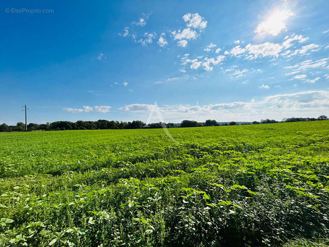 Terrain à JOUARRE
