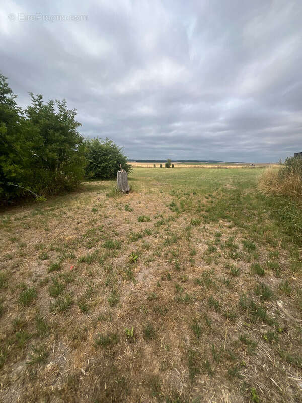 Terrain à LA VILLE-AUX-BOIS-LES-PONTAVERT