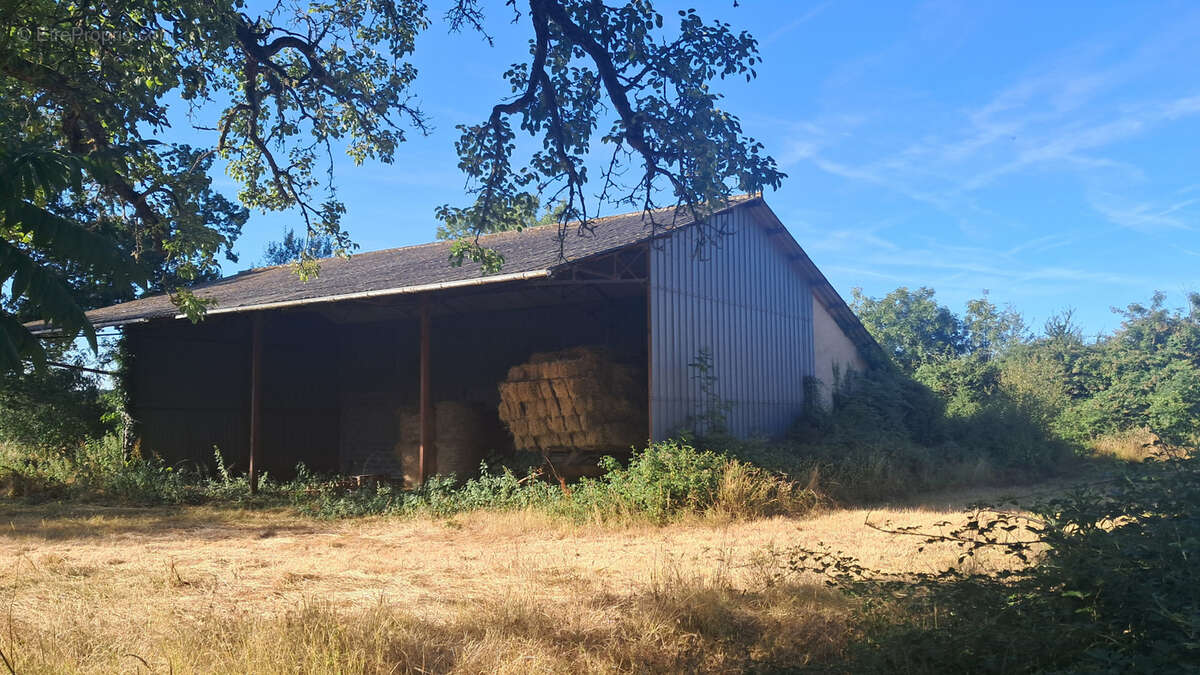 Ancien corps de ferme avec grand terrain - photo 10