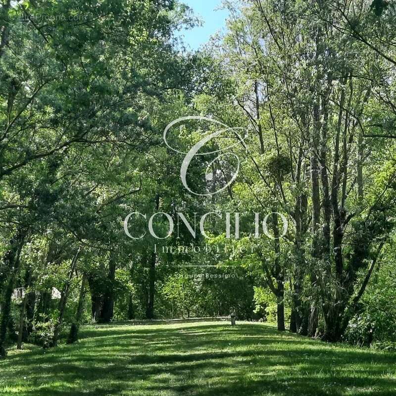 Maison d'exception avec accès direct à un lac privé de 13 ha – 30 min de Reims - photo 9
