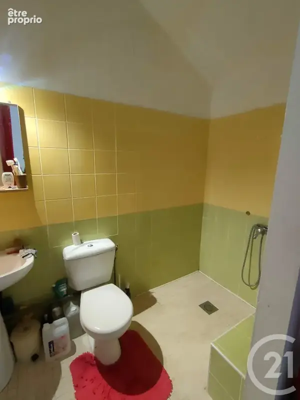 Maison 4 pièces 88 m² à vendre à Malay-Le-Grand (89100) - photo 28