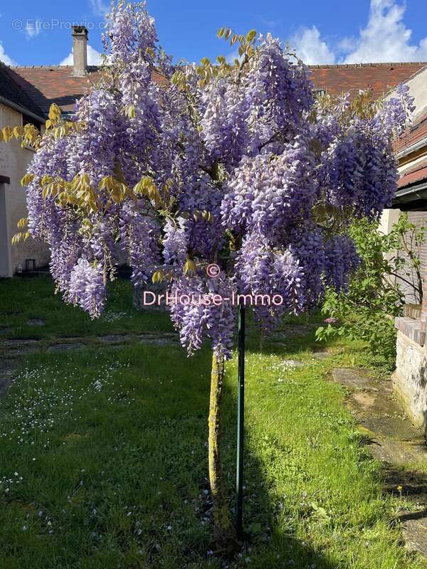Maison à GIRONVILLE