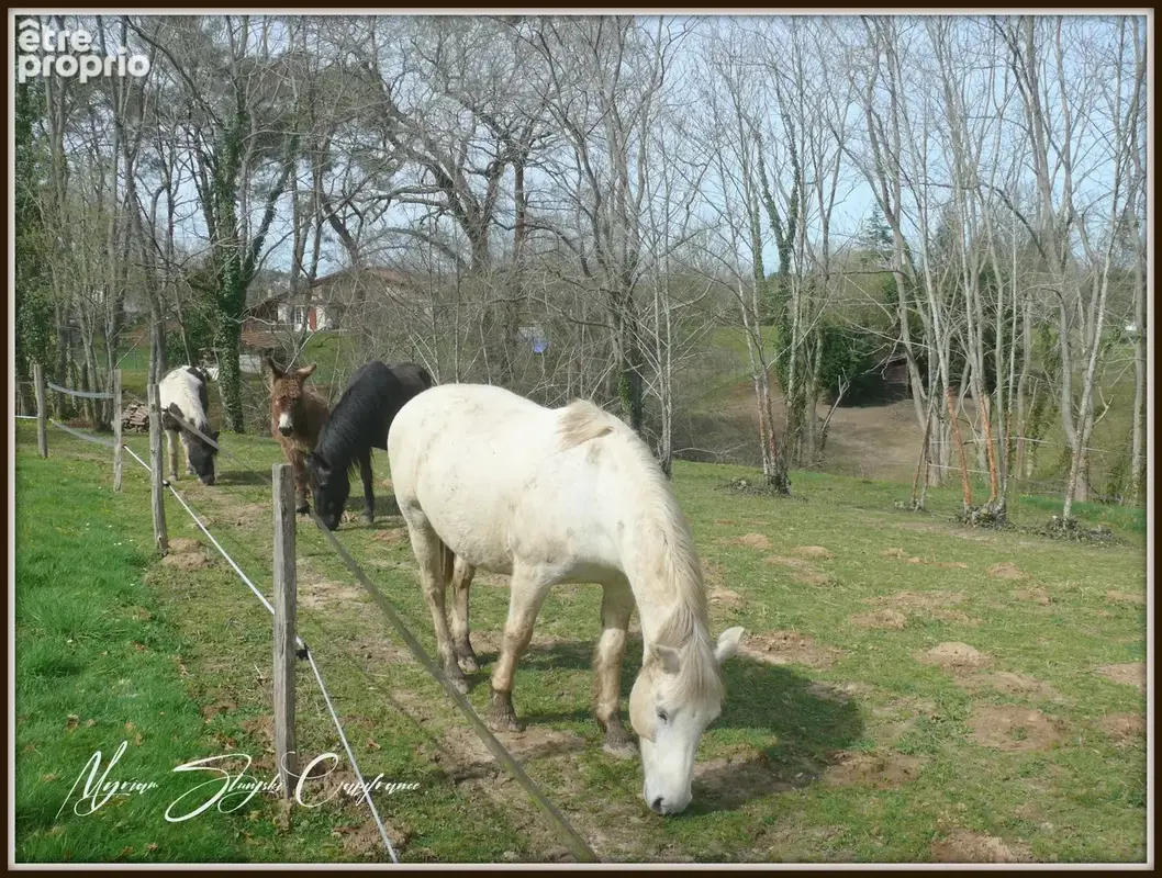 Dpt Landes (40), à vendre CAPBRETON Propriété de charme au calme - photo 24