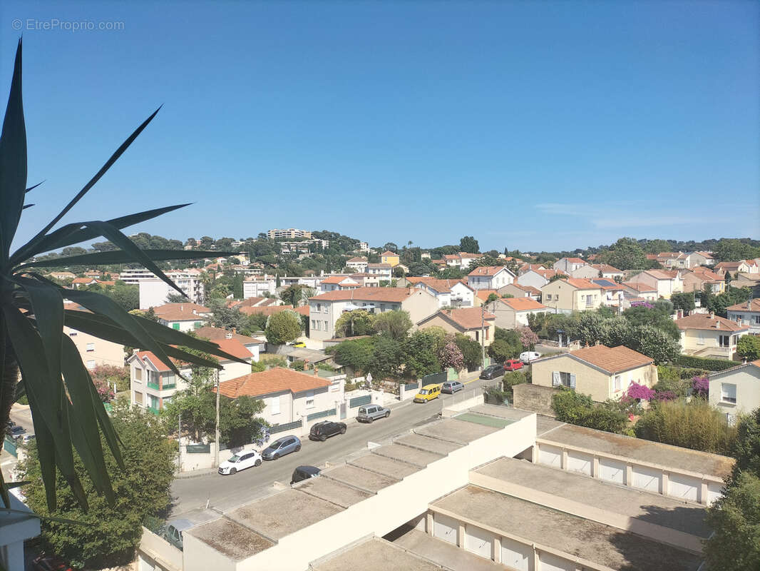 Toulon - l'aguillon - photo 8