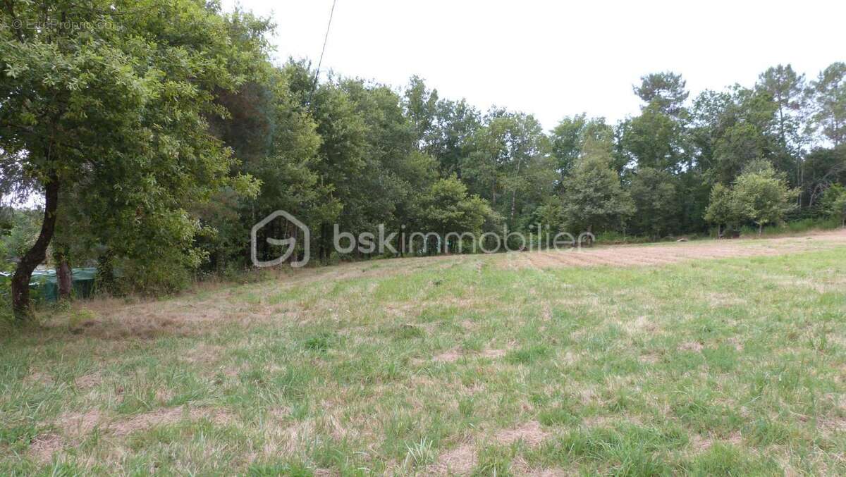Terrain constructible de 4424 m2 avec CU - photo 4