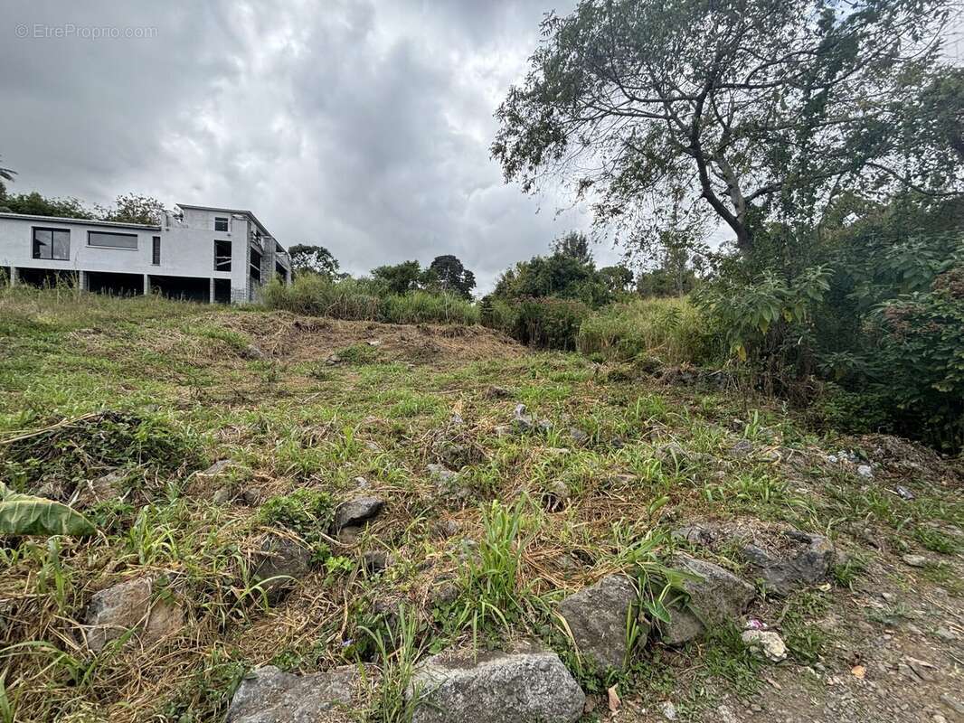 Terrain à LE TAMPON