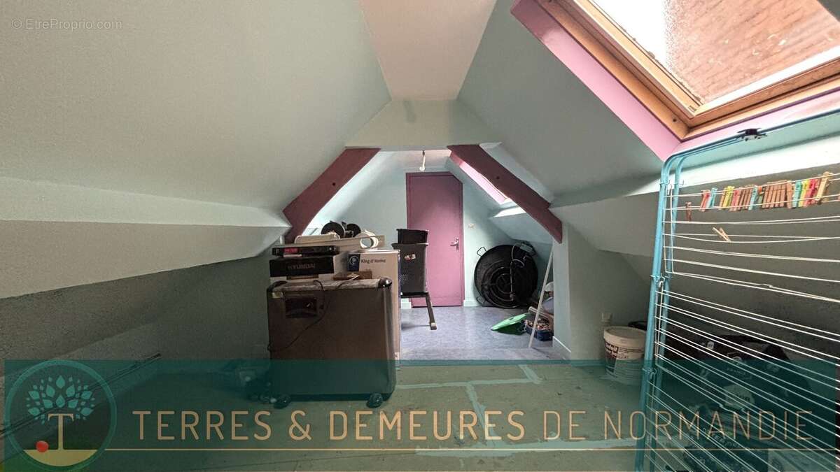 Commerce à FRIVILLE-ESCARBOTIN