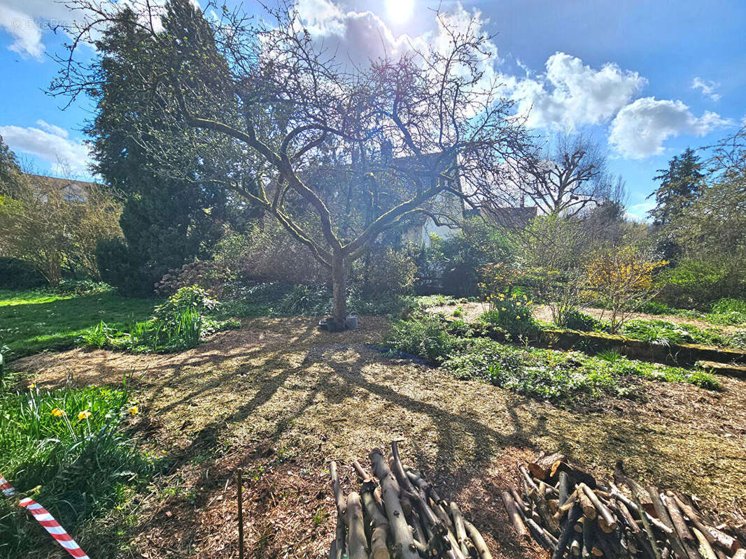 Terrain à JOUY-EN-JOSAS
