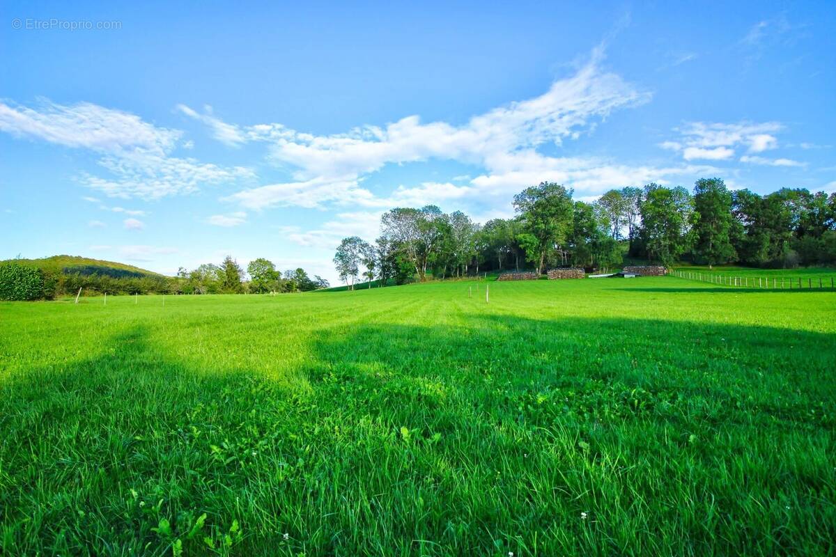 Terrain à BLAISY-BAS