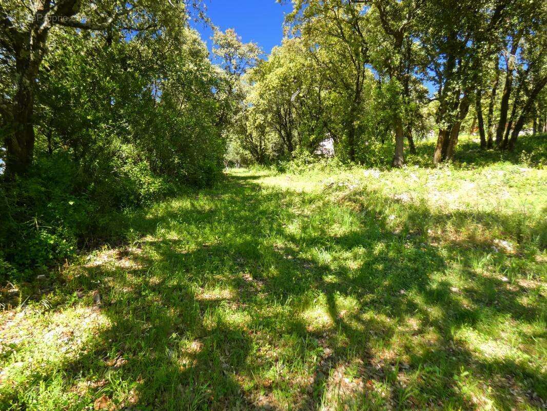 Terrain À Vendre vue panoramique 8 264m2 - photo 2