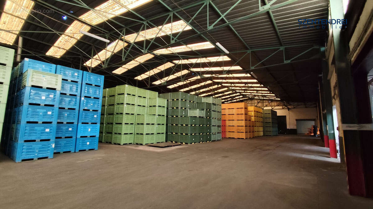 Commerce à PONT-SAINT-ESPRIT