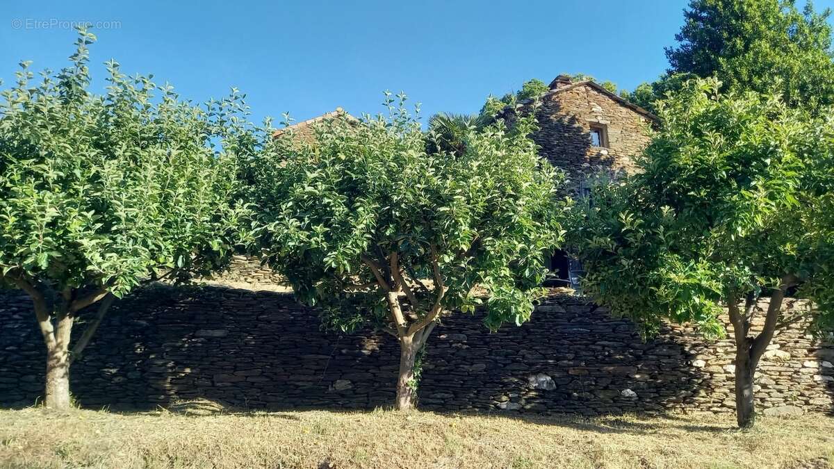 Maison de hameau à vendre SAINT MARTIN DE BOUBAUX (48) - photo 4