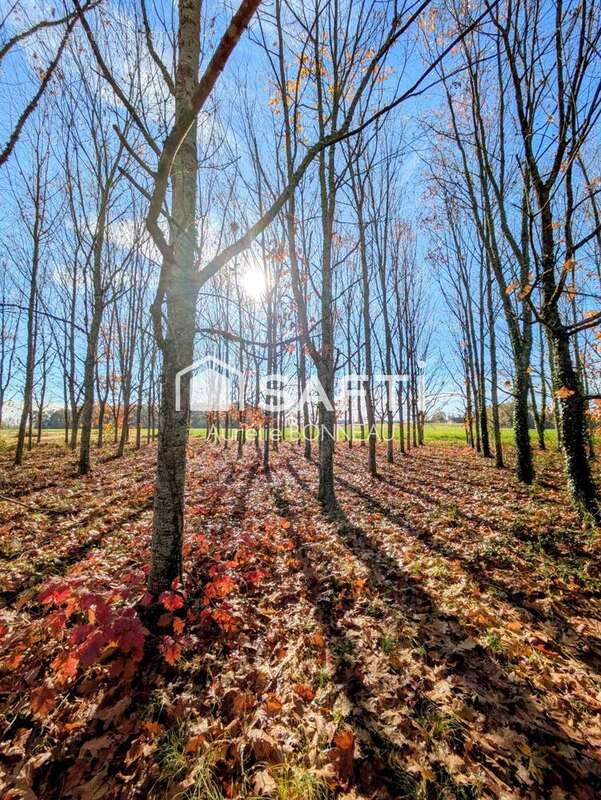 Photo 4 - Maison à VILLEMADE