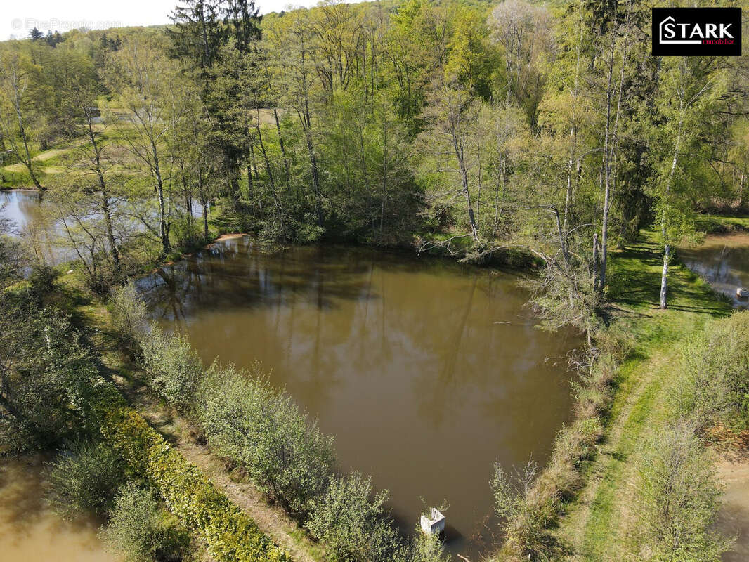 Terrain à LACHAPELLE-SOUS-CHAUX