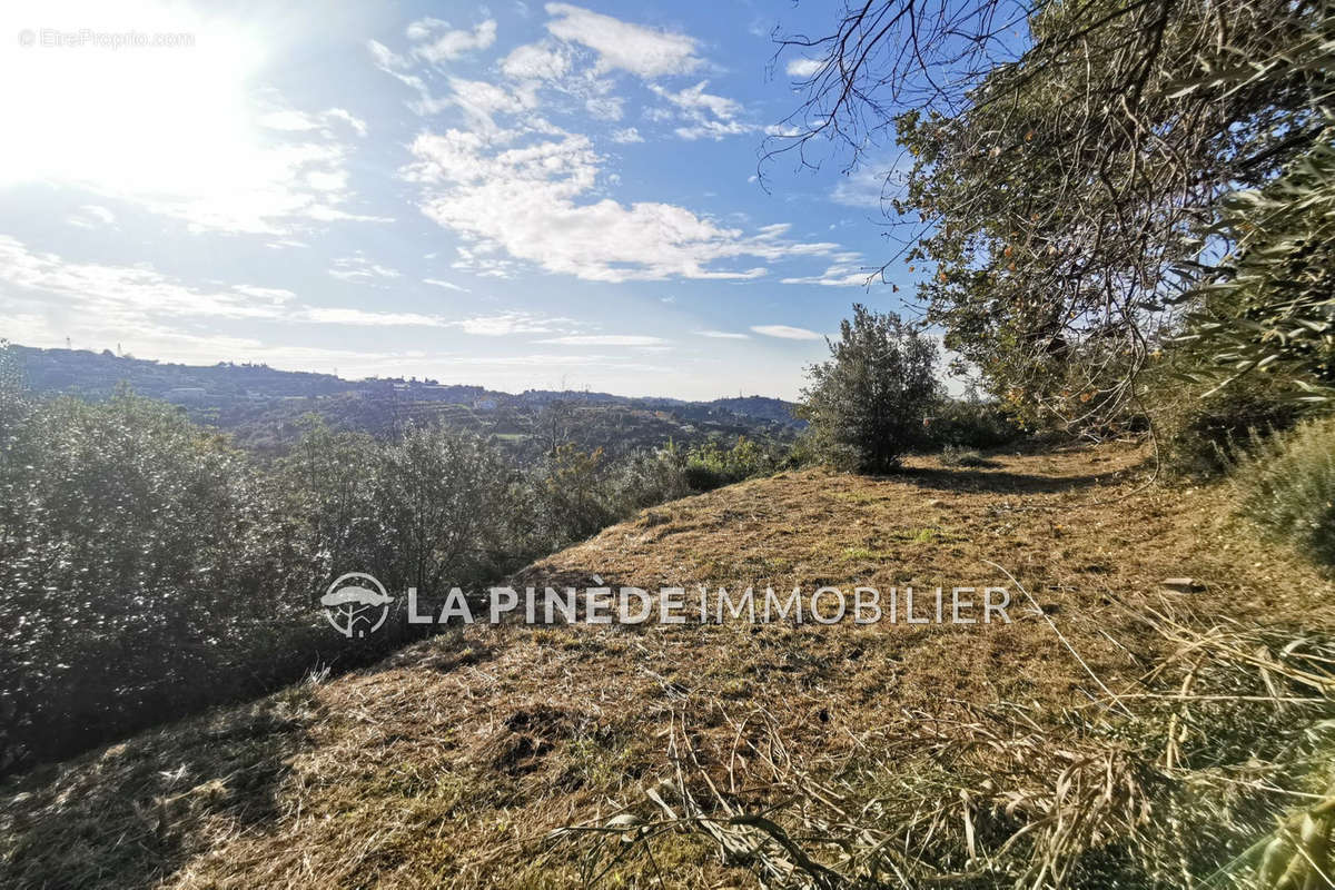 Terrain à NICE
