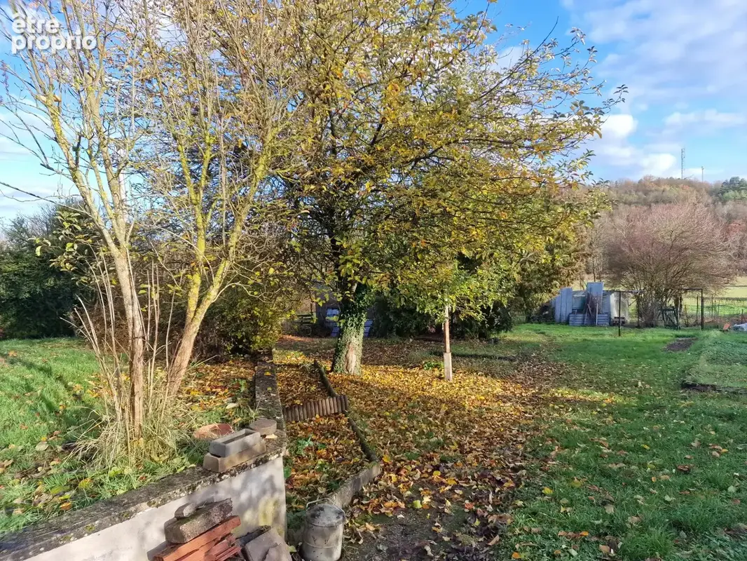 Dpt Vosges (88), à vendre secteur MIRECOURT Jolie MAISON T4 Plain-pied avec GARAGE / TERRAIN de 1150 m2 - photo 10