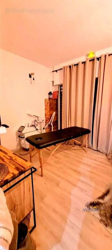 Commerce à PLAN-DE-CUQUES