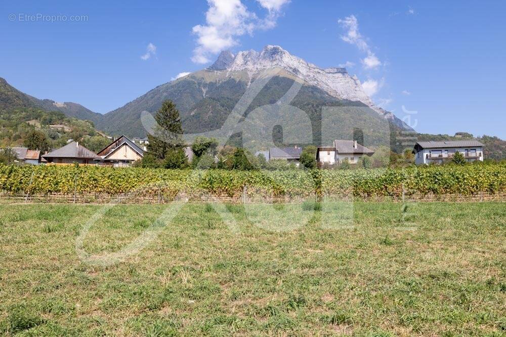 Terrain viabilisé (Lot 3) - Terrain à SAINT-PIERRE-D'ALBIGNY