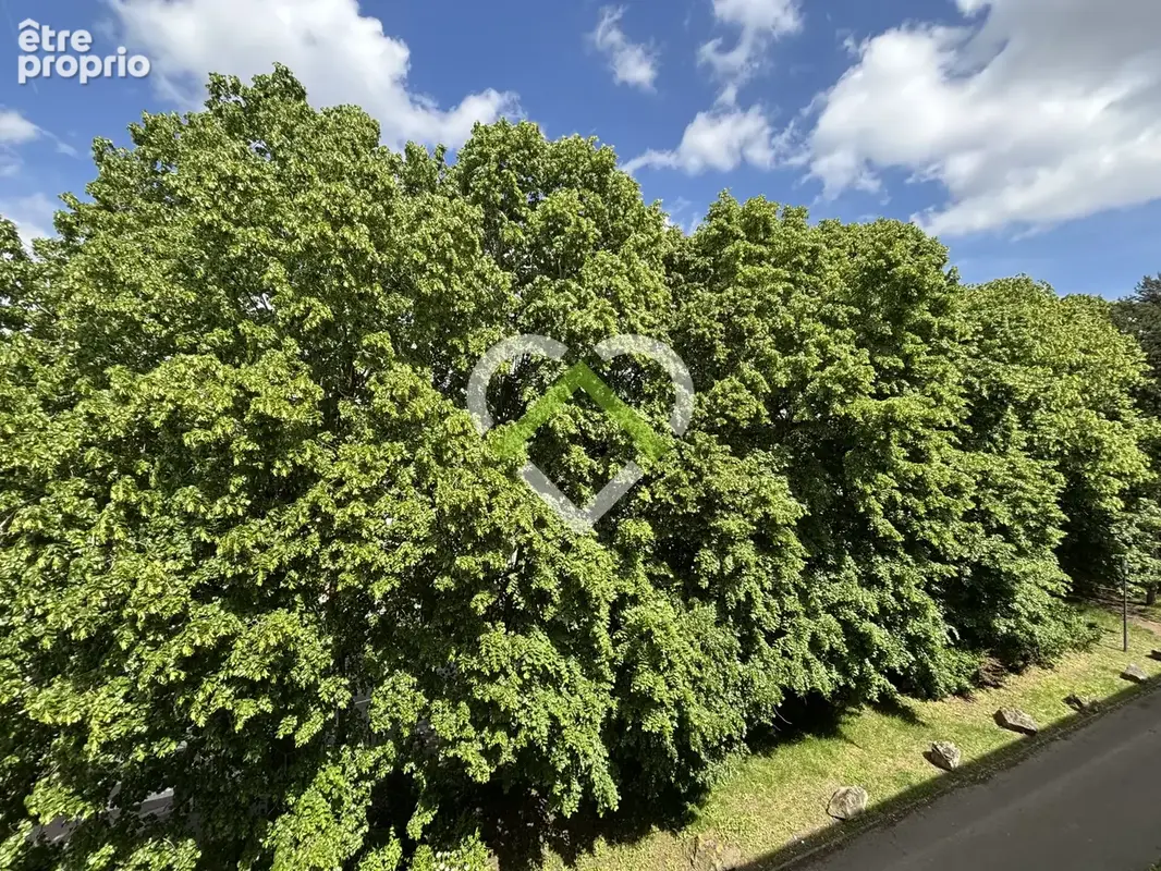 T3 rénové - VILLENEUVE D'ASCQ la Poste/ Annappes - photo 7