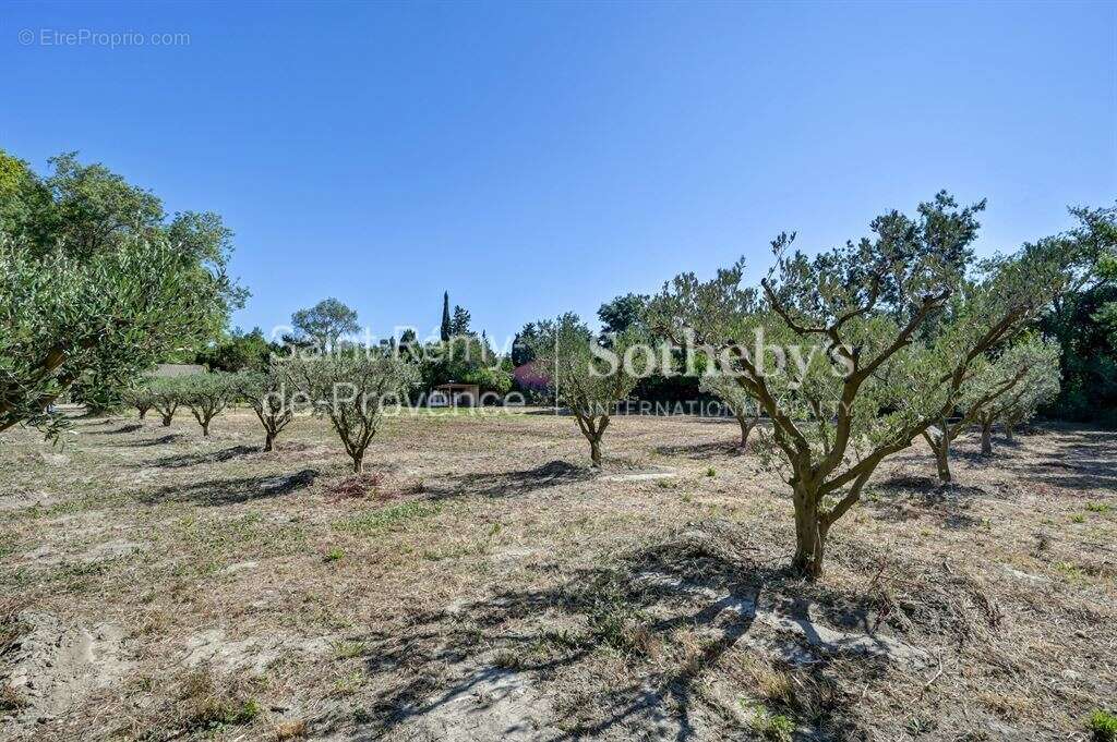 Maison à SAINT-REMY-DE-PROVENCE