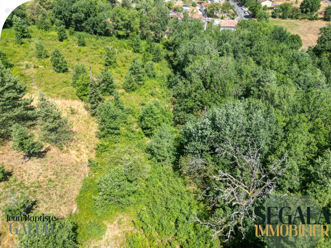 Terrain constructible boisé de 6 310 m2 à Mirandol-Bourgnounac - photo 10