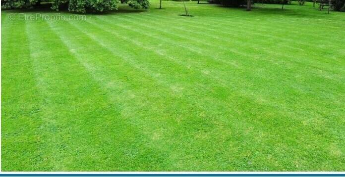 Terrain à BELLEVILLE-SUR-VIE