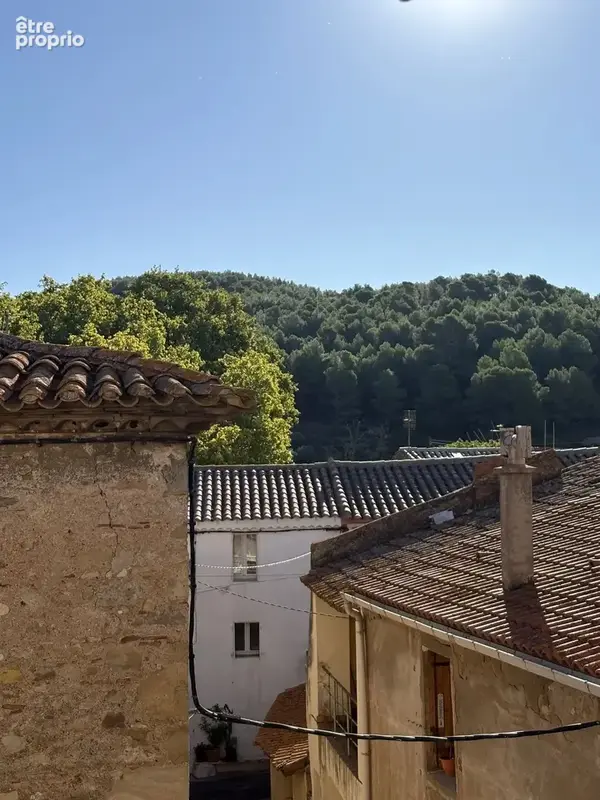 Maison de village a ornaisons - photo 2