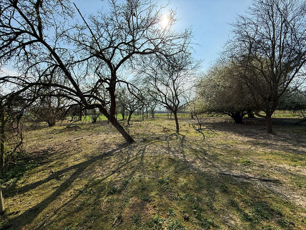 Terrain à HANDSCHUHEIM