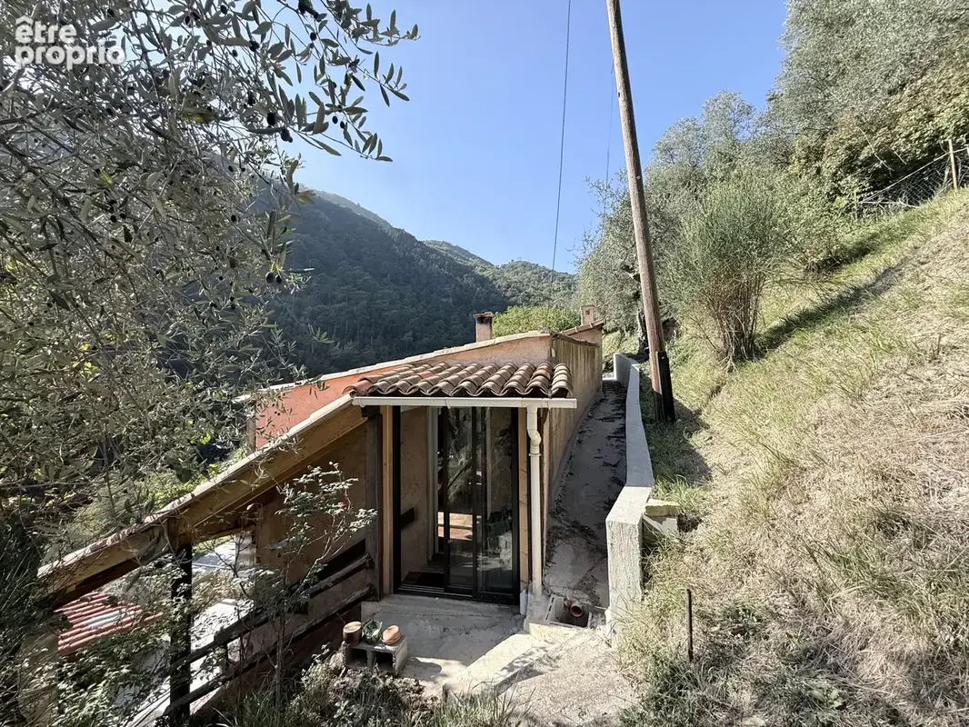 Vaste propriété de plus d’un hectare, entre oliviers centenaires et arbres fruitiers - photo 2