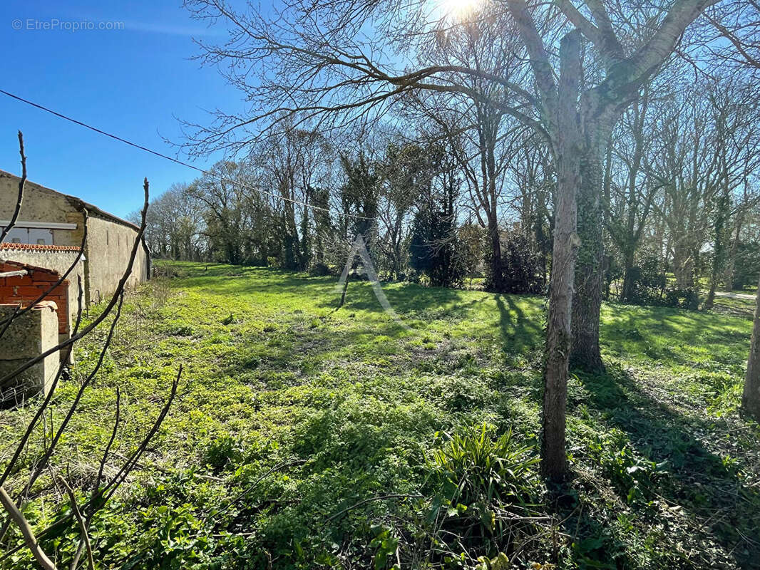 Terrain à SAINTE-RADEGONDE-DES-NOYERS