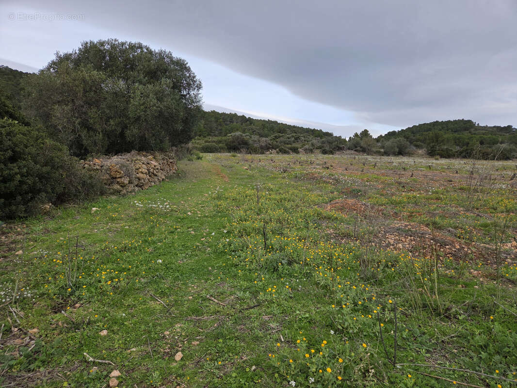 Terrain à FRONTIGNAN