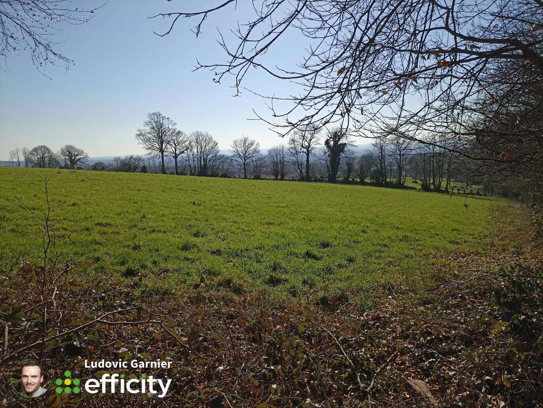 Terrain 11600 m² à Romagny  - photo 3