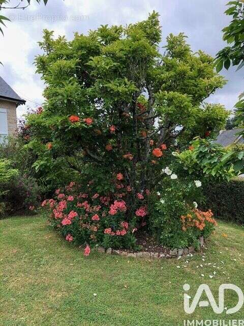 Photo 5 - Maison à THEIX