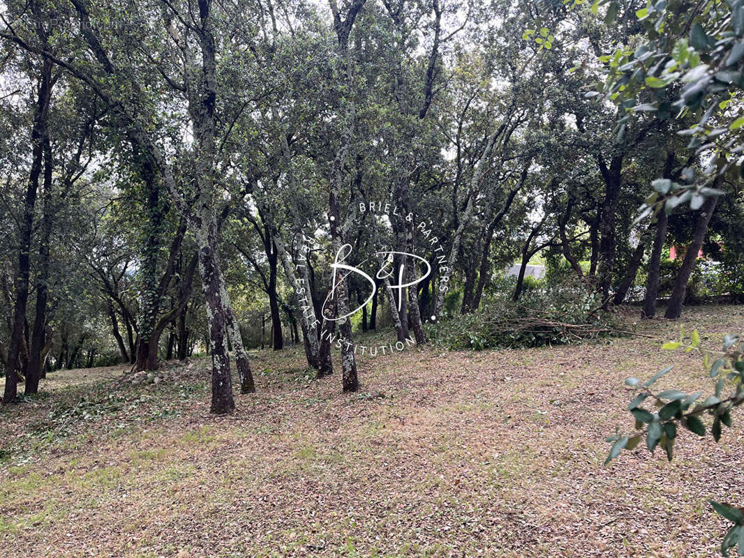 Terrain à LE THORONET