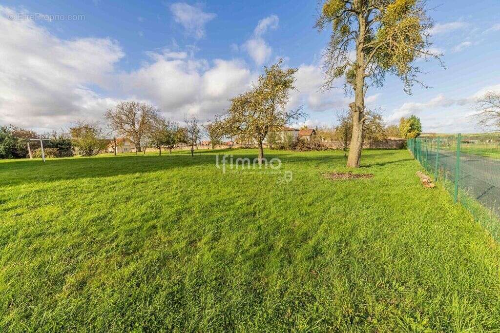 Maison à FRANCALTROFF