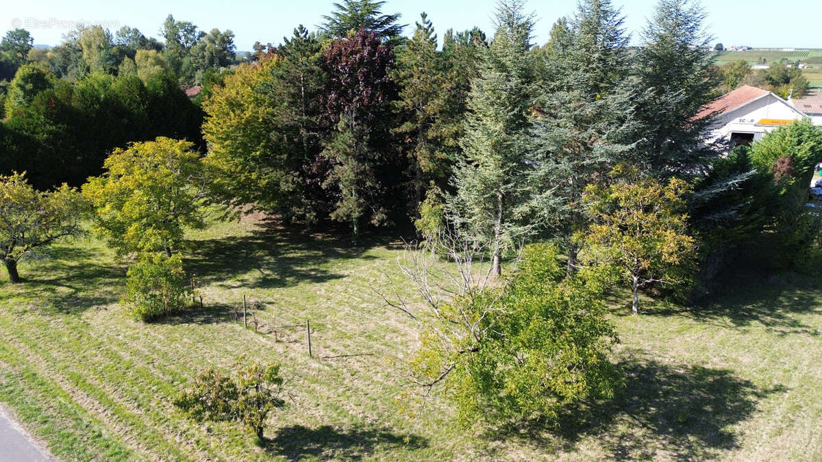 Maison à BRIE-SOUS-ARCHIAC