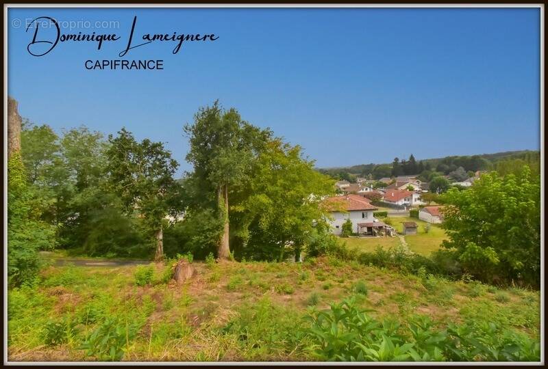 Terrain à DAX
