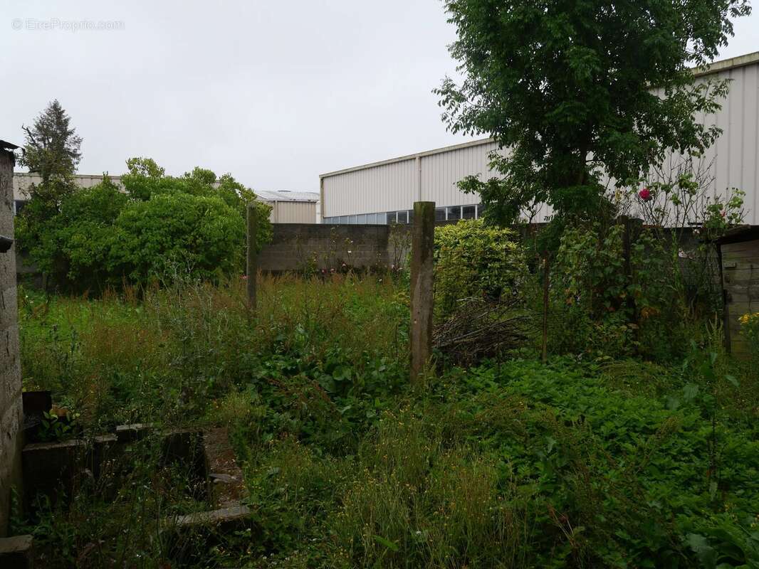 Maison de 4 chambres à Fressenneville, 99,5 m² - photo 9
