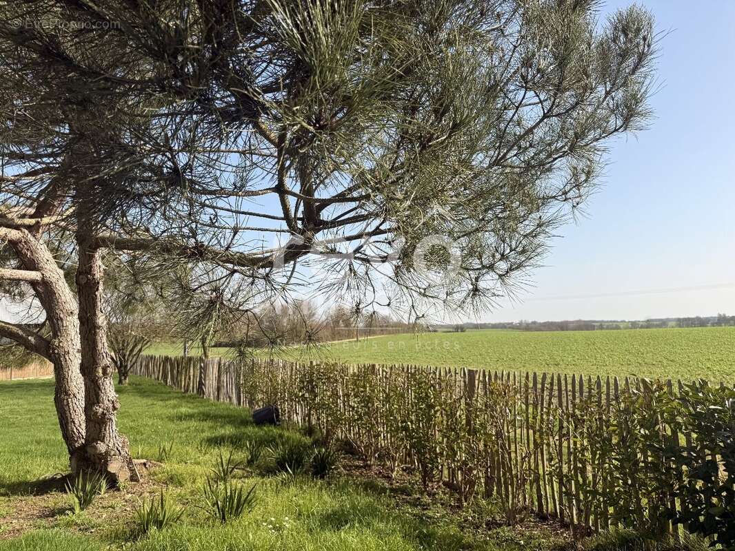 Superbe vue campagne pour cette longère en pierres rénovée - photo 2