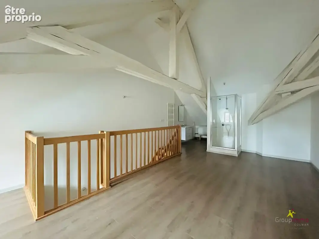 Appartement 2 pièces 60 m² à vendre à Colmar (68000) - photo 4
