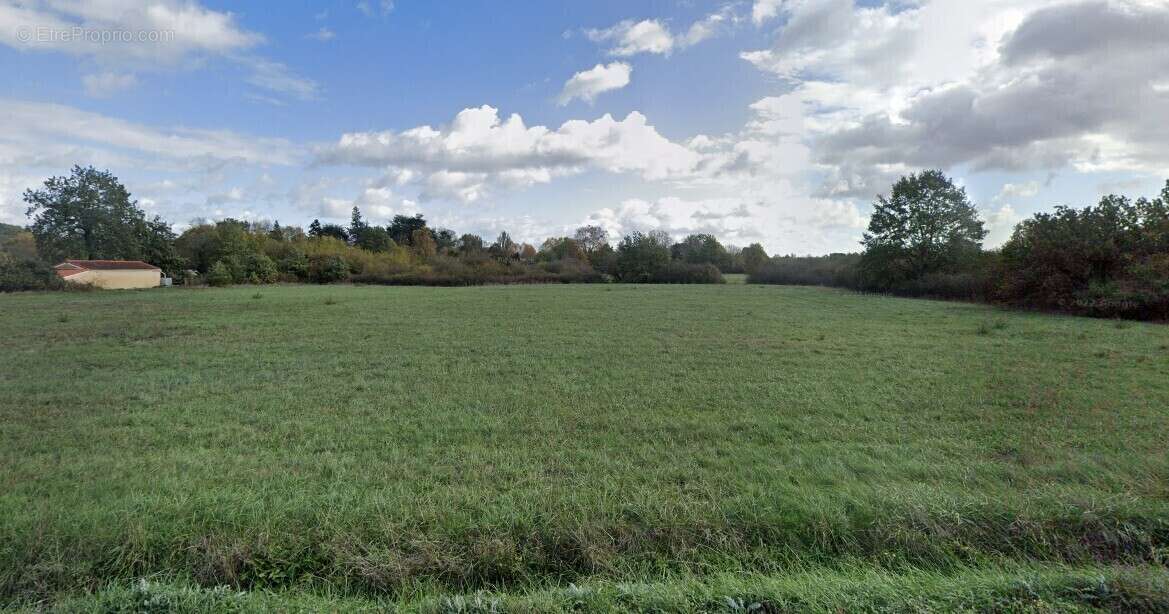 Maison à BUZET-SUR-TARN