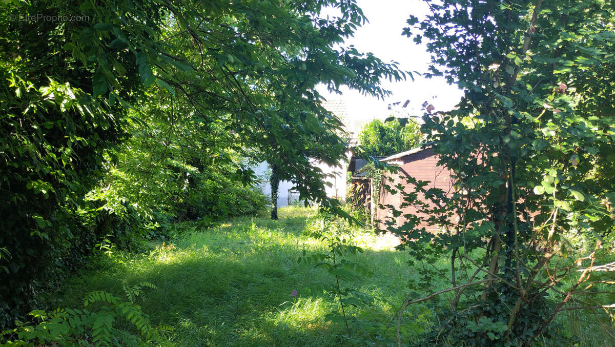 CALUIRE   FOND ROSE   Maison à rénover sur 478 m2 - photo 5
