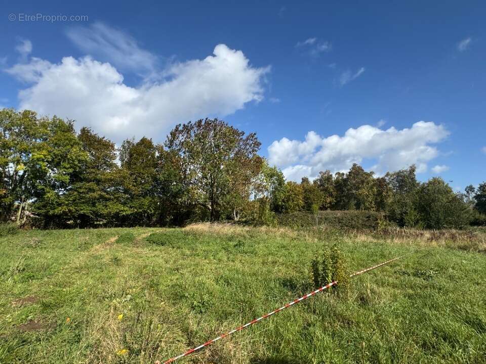 Terrain à MONCHEAUX