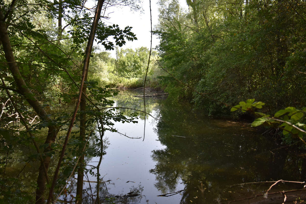 Propriété haut de gamme avec installations équestres sur 18 ha - photo 31