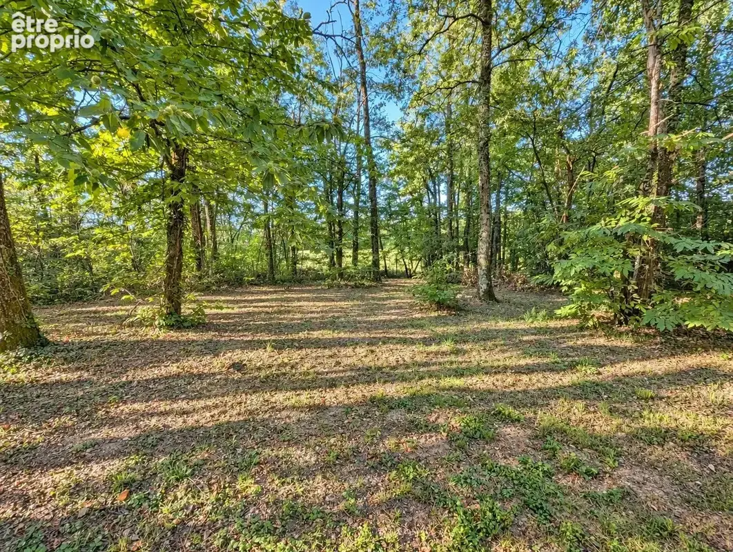 Vente Maison Le vigan(46300) 330 000ï¿œ - photo 5